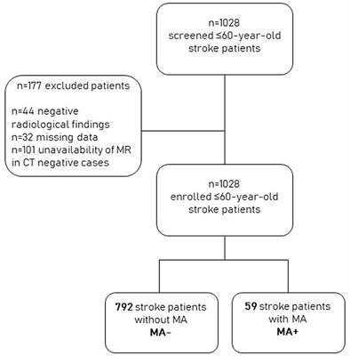 Stroke territory and atherosclerosis in ischemic stroke patients with a history of migraine with aura